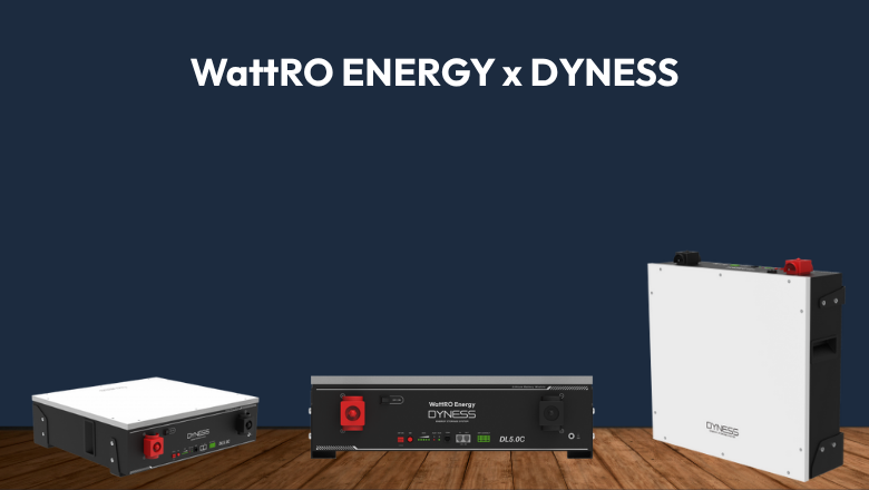 Acumulator Dyness DL5.0C cu incalzire 5.12 kWh WattRo Energy importator echipamente fotovoltaice